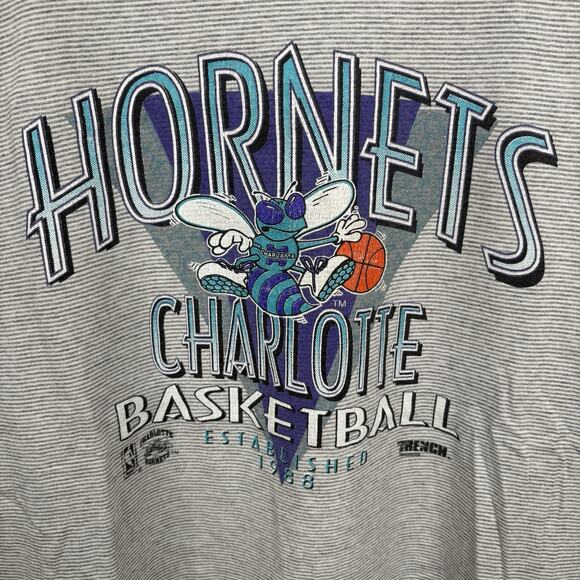 Vintage 80’s Grey Pinstriped Charlotte Hornets Tee Large - Picture 2 of 7